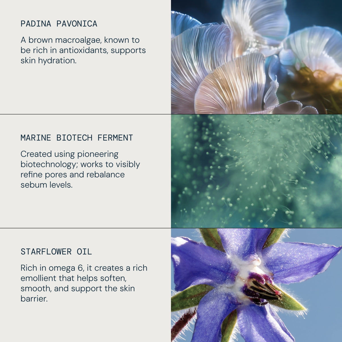 Pro-Collagen Prep & Replenish Routine - detail 3