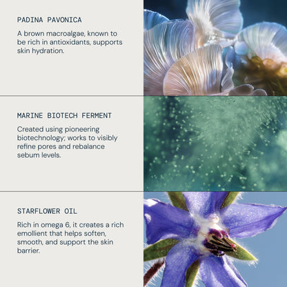 Pro-Collagen Prep & Replenish Routine - detail 3