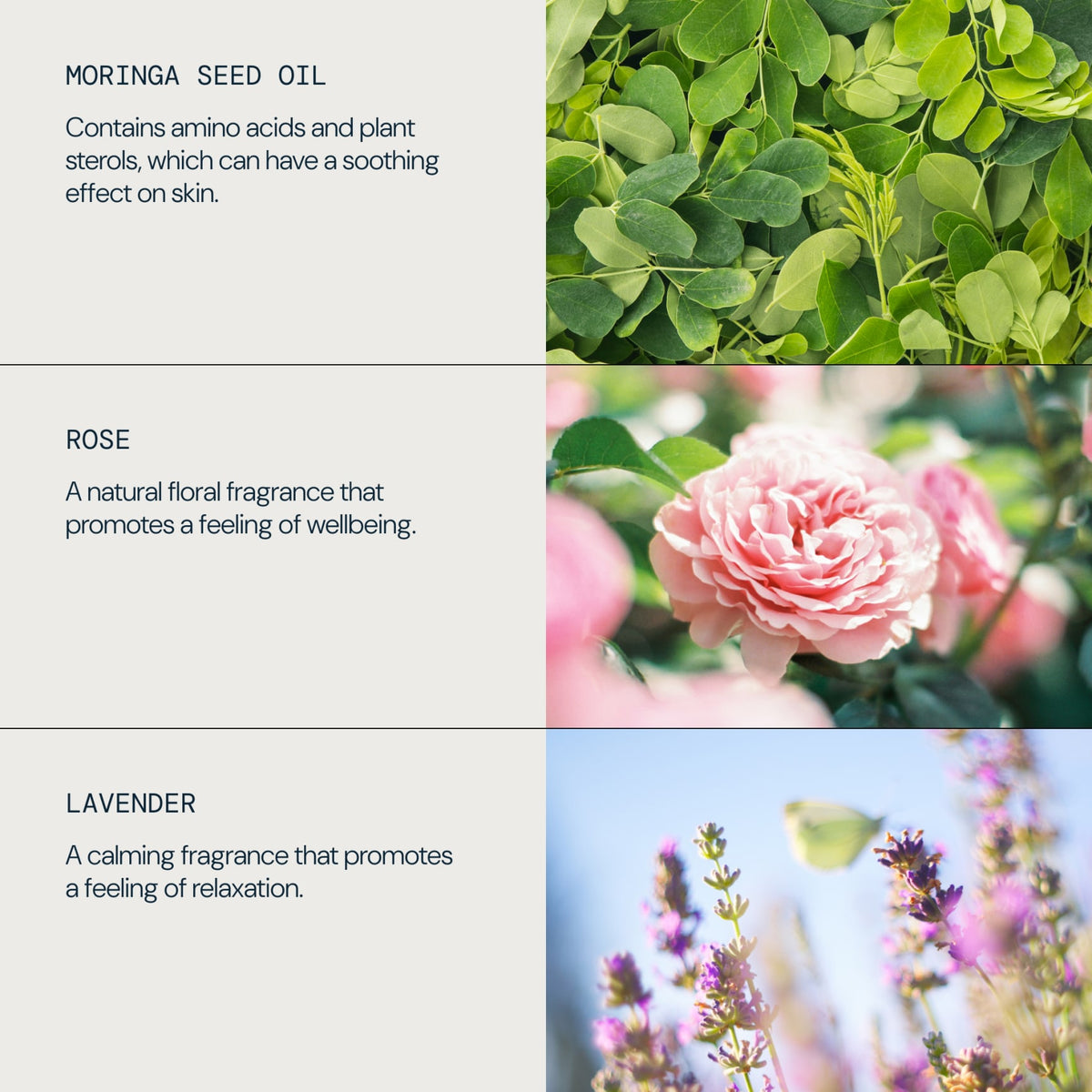 Skin Bliss Capsules - detail 4
