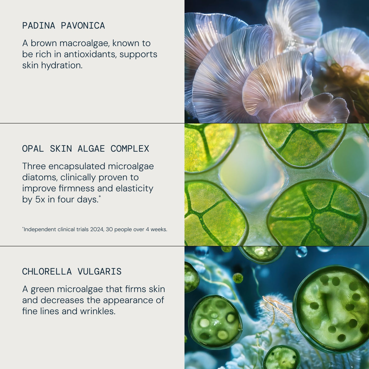 Pro-Collagen Revitalise & Rejuvenate Routine - detail 3