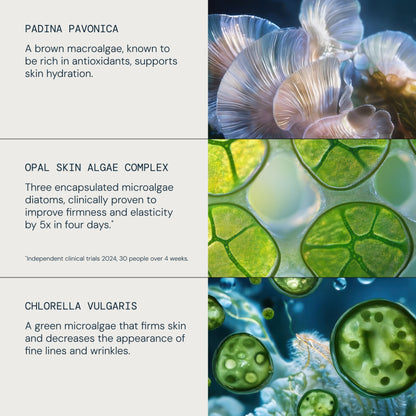 Pro-Collagen Revitalise & Rejuvenate Routine - detail 3