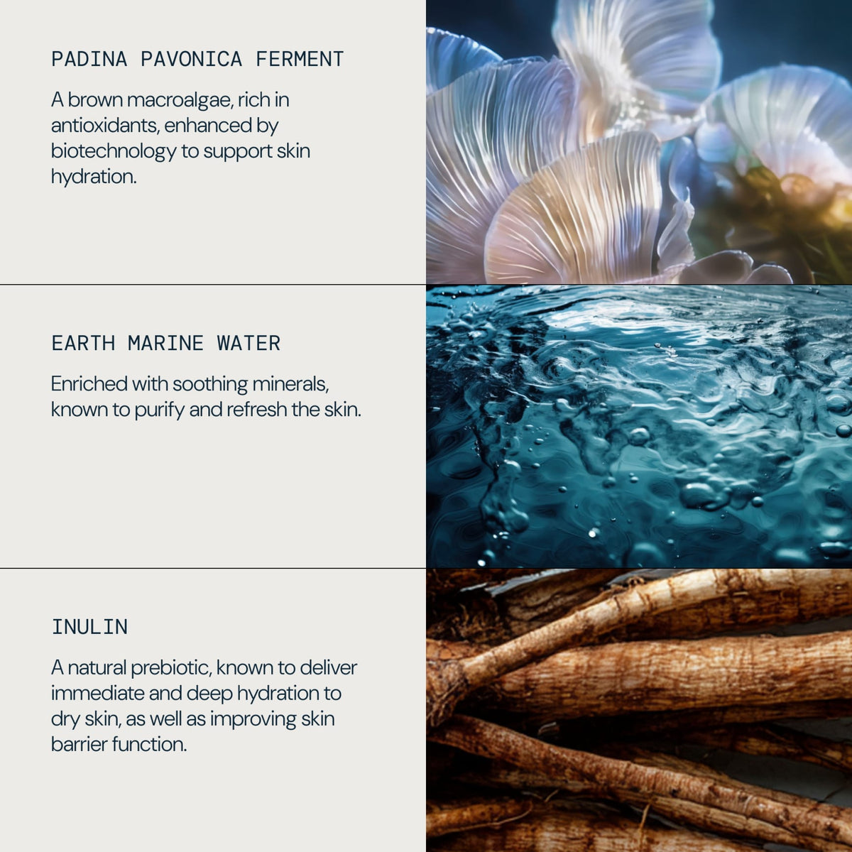 Pro-Collagen Hydrating Cleansing Mousse - detail 4