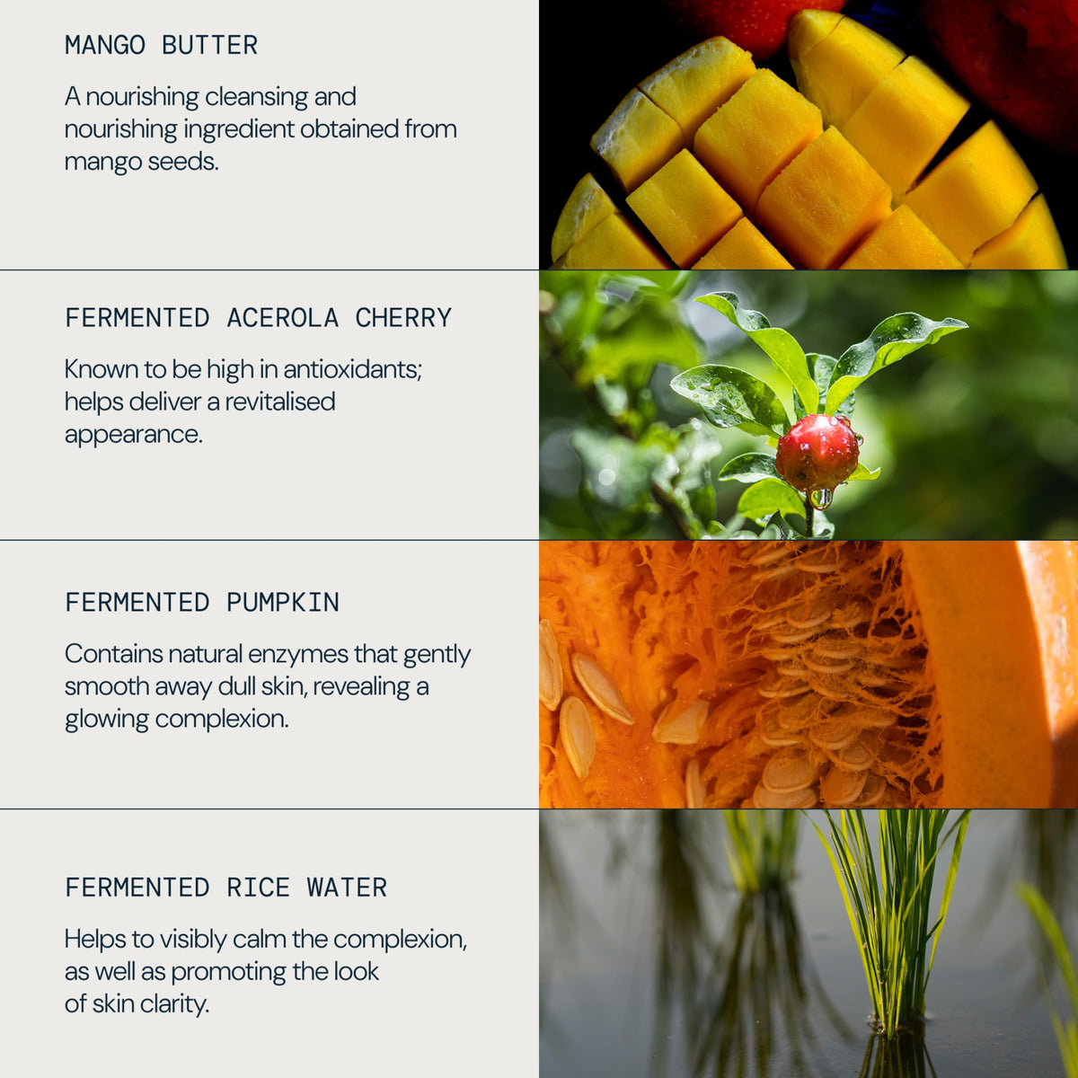 Superfood Glow Cleansing Butter - detail 4