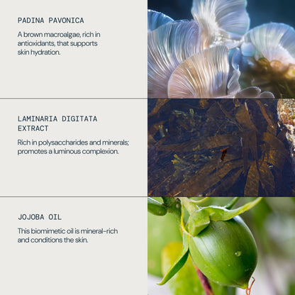 Pro-Collagen Rose Oil Blend - detail 4