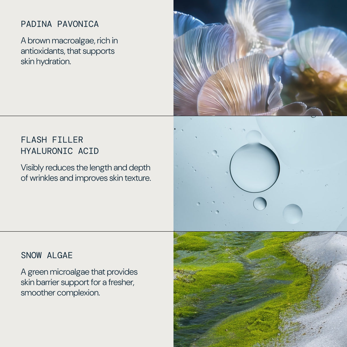 Pro-Collagen Eye Revive Mask - detail 5