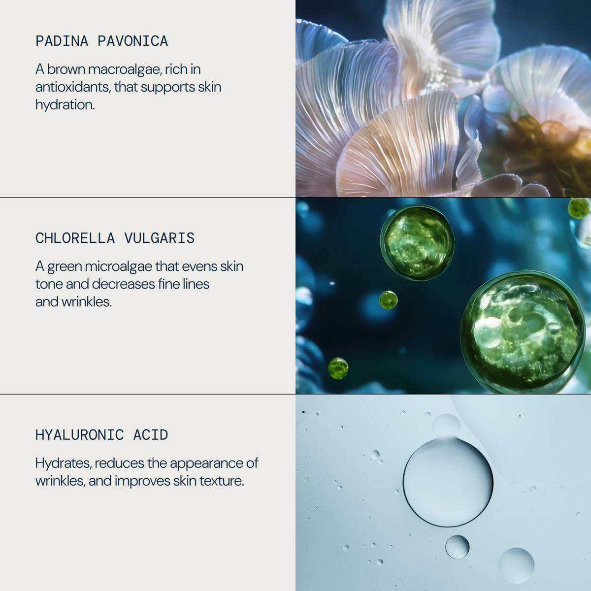 Pro-Collagen Hydra-Gel Eye Masks - detail 3
