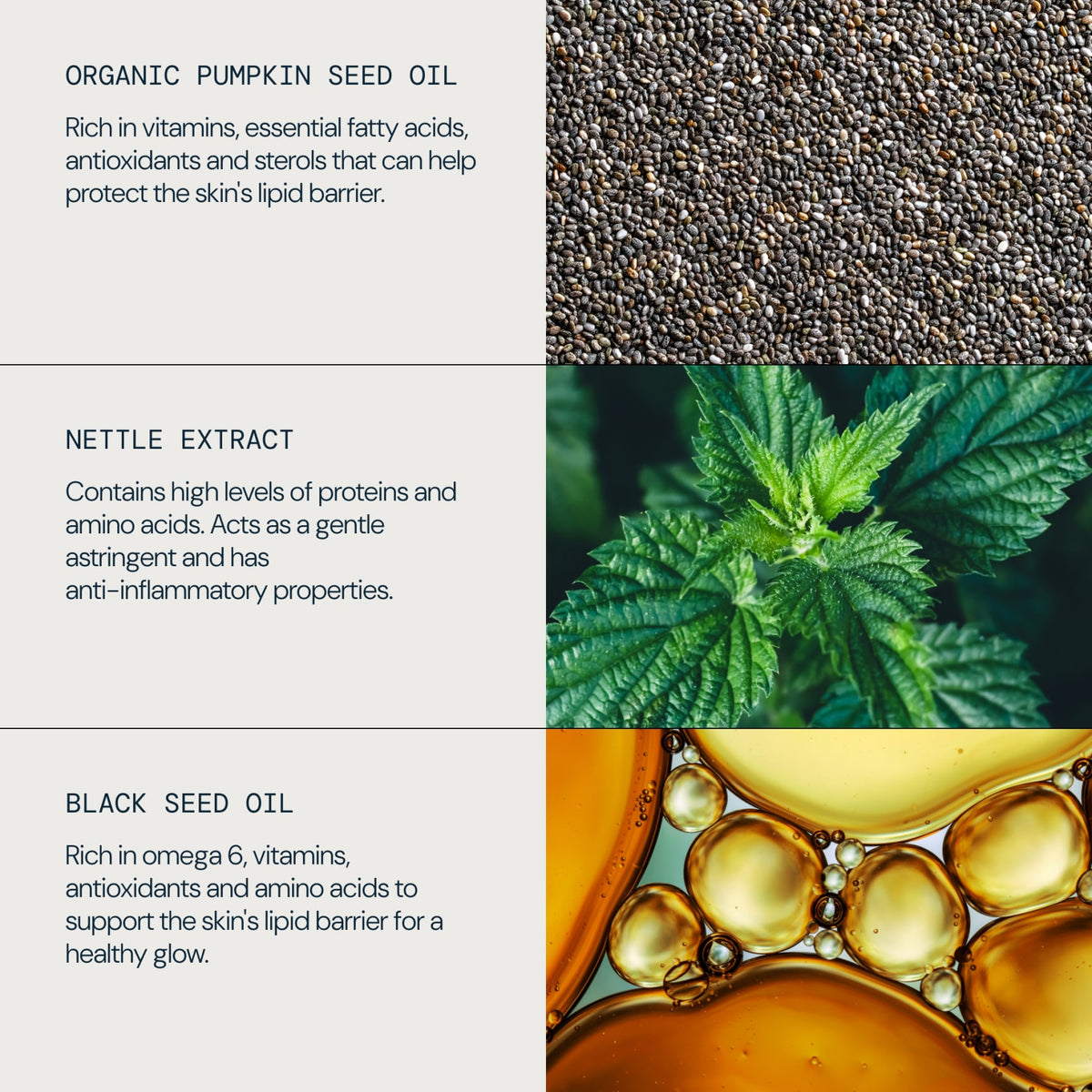 Superfood Facial Wash - detail 4