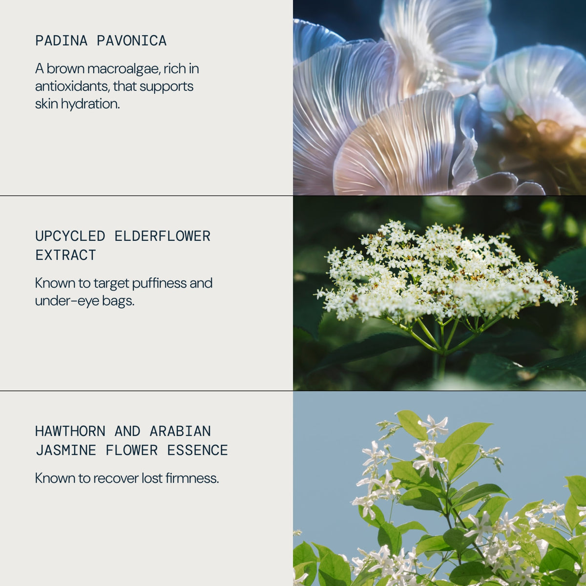 Pro-Collagen Vitality Eye Cream - detail 4