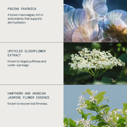 Pro-Collagen Vitality Eye Cream - detail 4