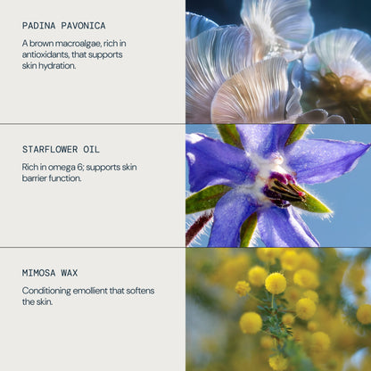 Pro-Collagen Fragrance-Free Cleansing Balm - detail 4