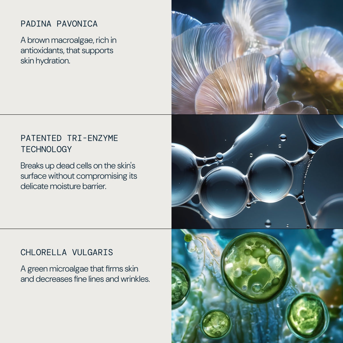 ELEMIS x Aston Martin Aramco Formula One鈩?Team Discovery Skincare Collection - detail 3