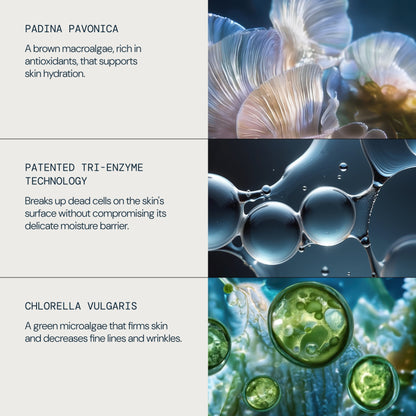 ELEMIS x Aston Martin Aramco Formula One鈩?Team Discovery Skincare Collection - detail 3